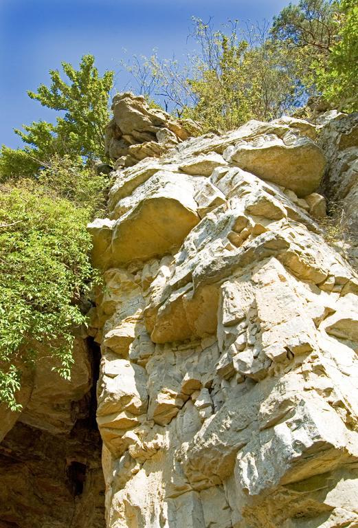 Hotel Hauer Bollendorf Εξωτερικό φωτογραφία